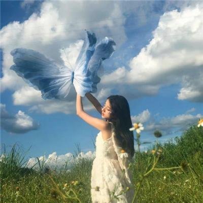探索发现秘境追踪第五季